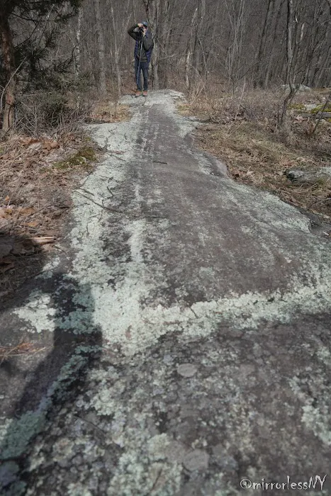 Wildcat Ridge Picture 1