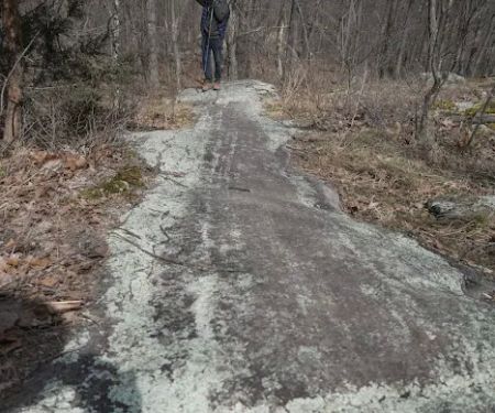Wildcat Ridge