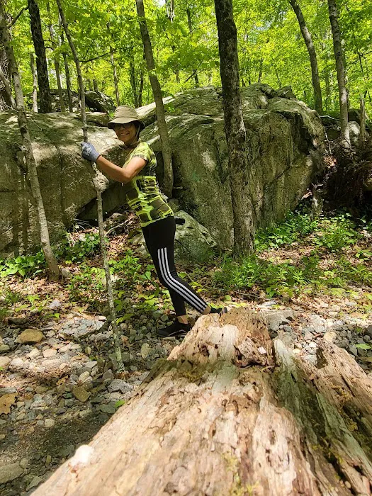 Wildcat Ridge Picture 10