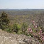Wildcat Trailhead