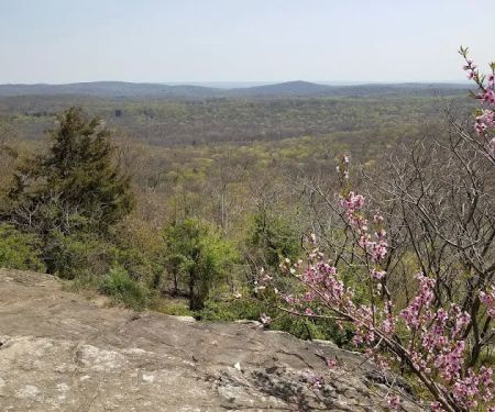 Wildcat Trailhead