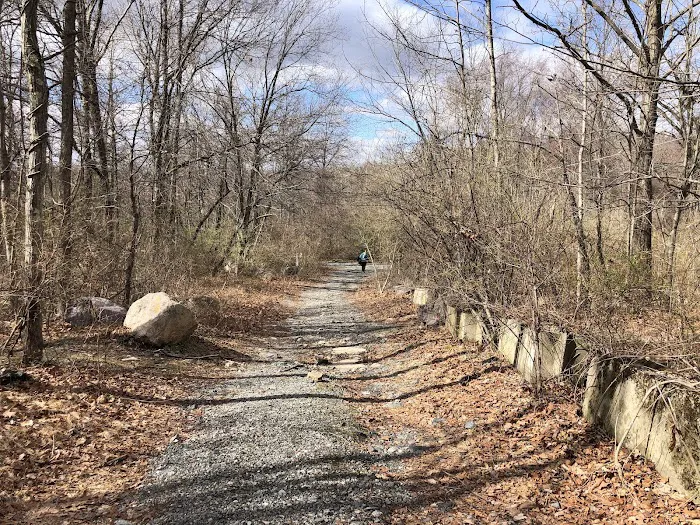 Wildcat Trailhead Picture 4