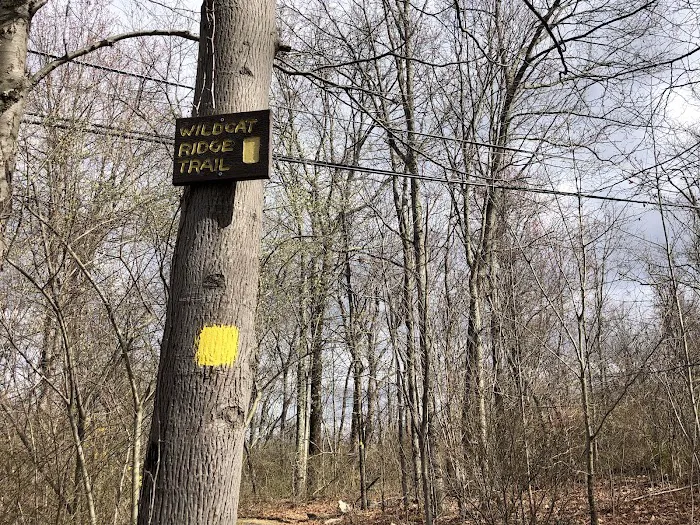Wildcat Trailhead Picture 10