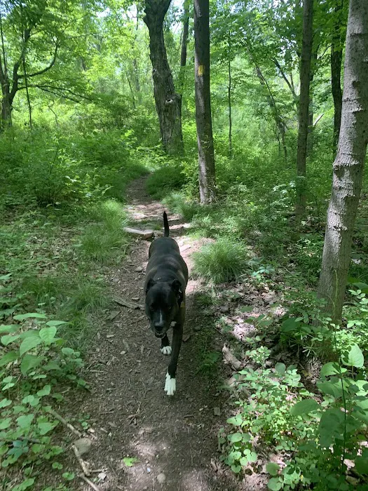 Wildcat Trailhead Picture 5