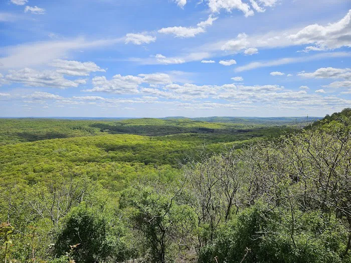 Wildcat Ridge Wildlife Management Area - Bat Hibernaculum Area Picture 3