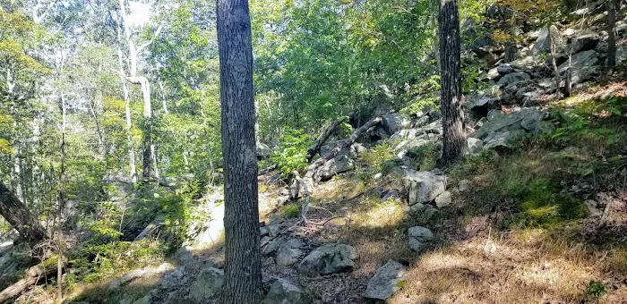 Wildcat Ridge Wildlife Management Area - Bat Hibernaculum Area Picture 6
