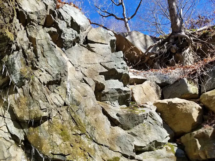 Wildcat Ridge Wildlife Management Area - Bat Hibernaculum Area Picture 7