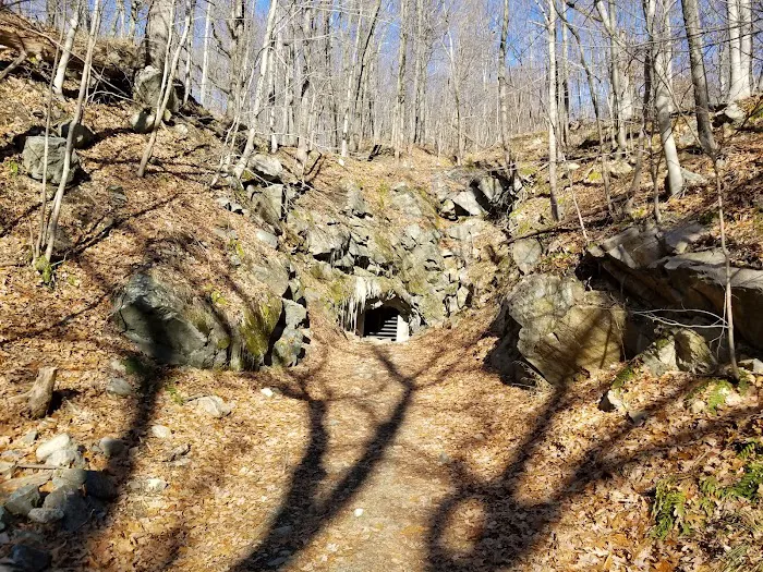 Wildcat Ridge Wildlife Management Area - Bat Hibernaculum Area Picture 1