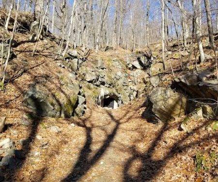 Wildcat Ridge Wildlife Management Area - Bat Hibernaculum Area