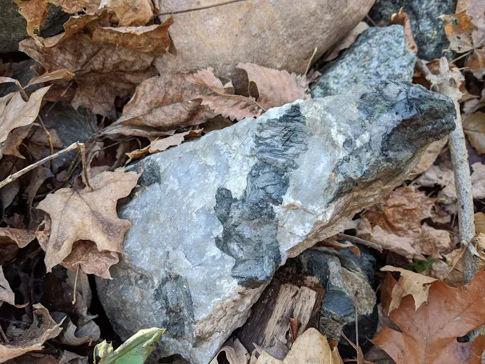 Wildcat Ridge Wildlife Management Area - Bat Hibernaculum Area Picture 10