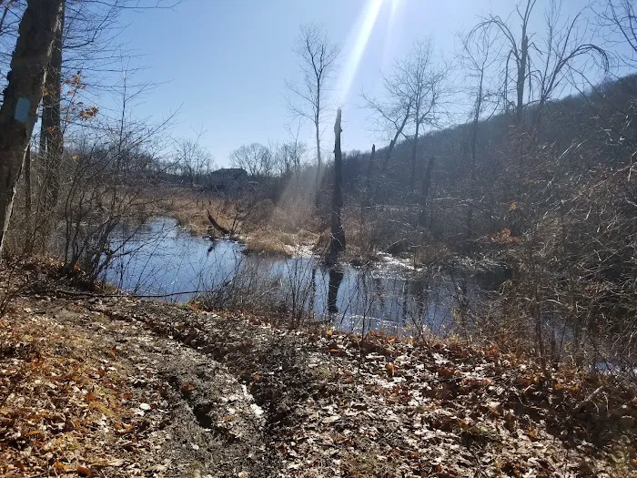 Wildcat Ridge Wildlife Management Area - Bat Hibernaculum Area Picture 8