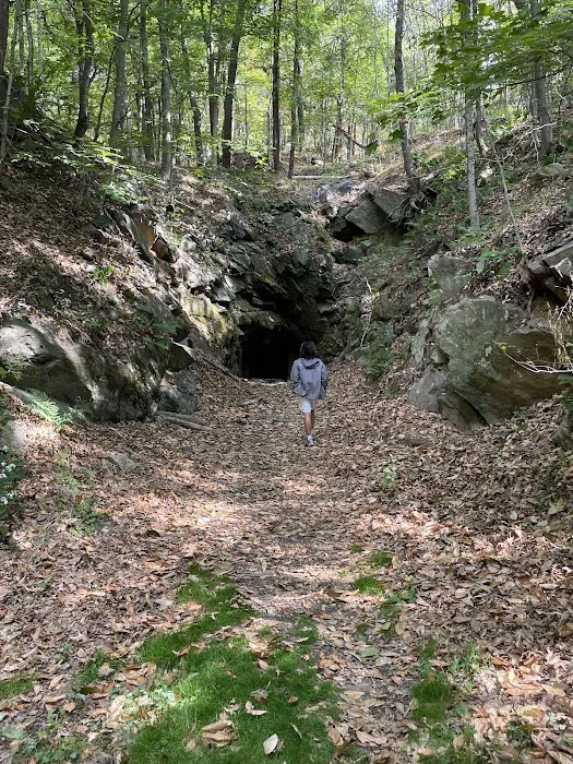 Hibernia Mines Picture 6