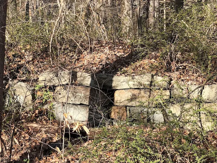 Hibernia Mines Picture 3