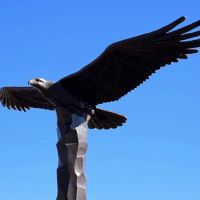 Eagle Rock Meadow ico