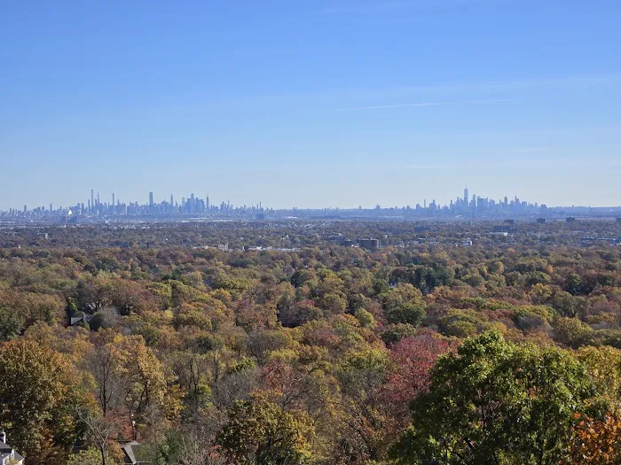 Eagle Rock Meadow Picture 3