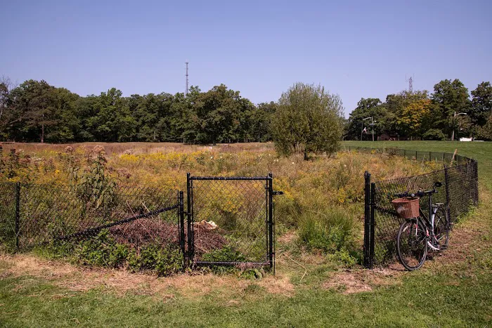 Eagle Rock Meadow Picture 6