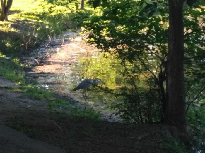 Degnan Park Picture 9