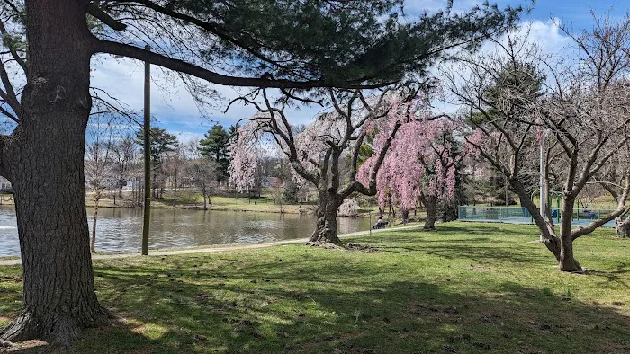 Degnan Park Picture 5