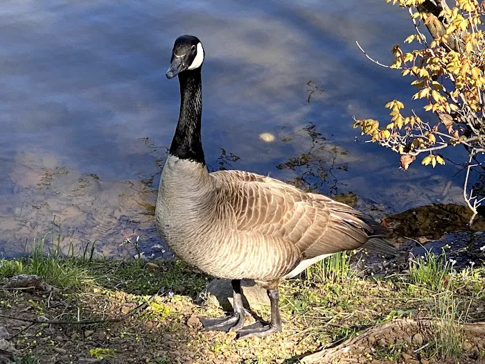 Degnan Park Picture 8