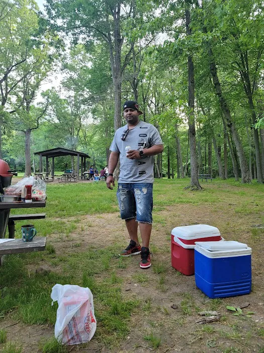 Turtle Back Rock Picnic Area Picture 10