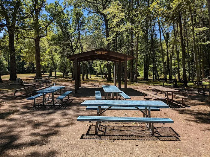 Turtle Back Rock Picnic Area Picture 3