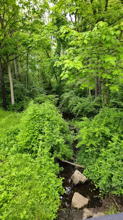 Spring Garden Lake Picture 8