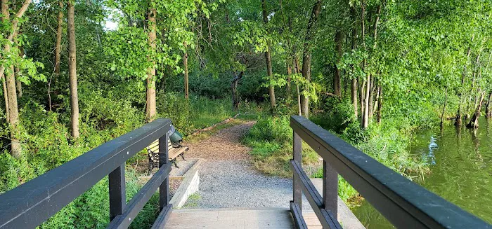 Spring Garden Lake Picture 3