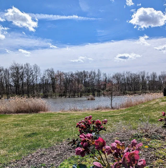 Spring Garden Lake Picture 9