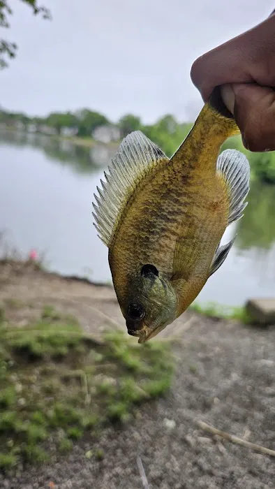 Spring Garden Lake Picture 4