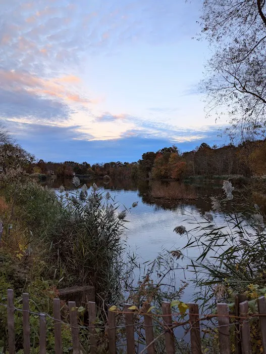 Spring Garden Lake Picture 5
