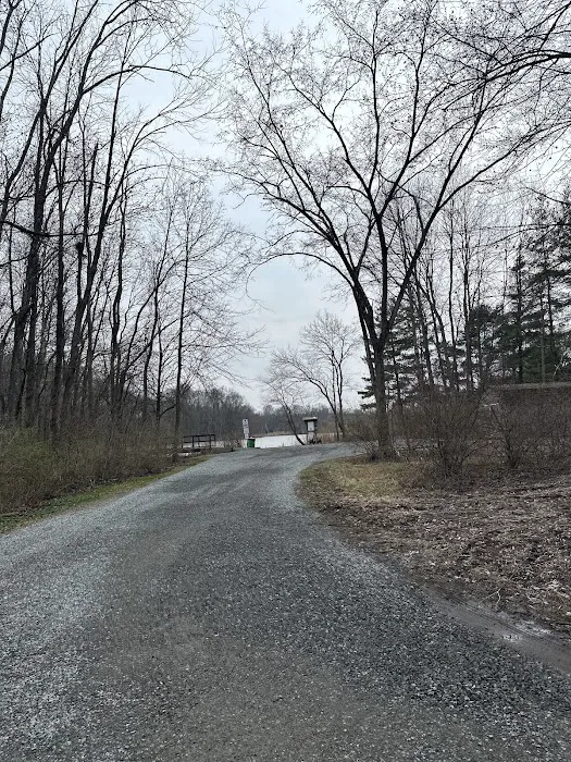 Spring Garden Lake Picture 7
