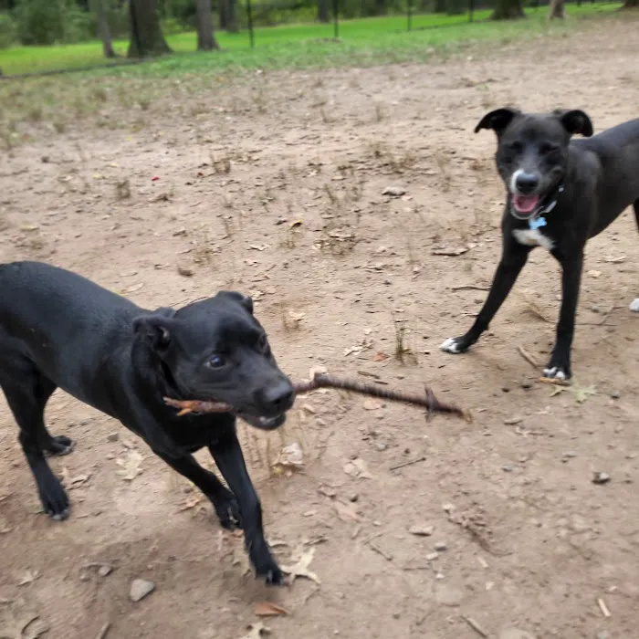 Madison Dog Park Picture 4