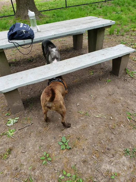 Madison Dog Park Picture 9