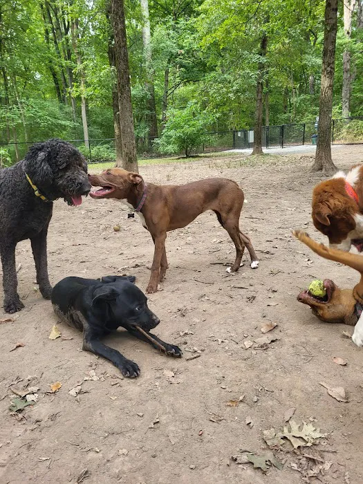 Madison Dog Park Picture 2