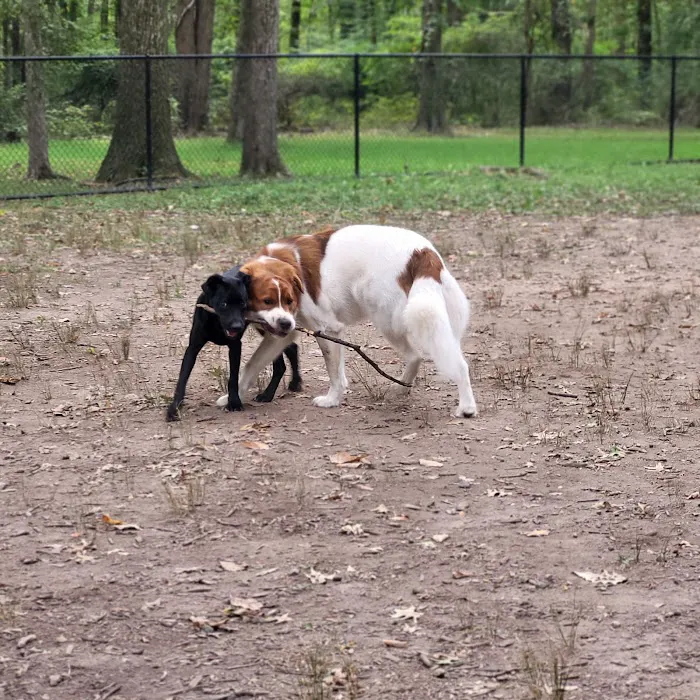 Madison Dog Park Picture 3