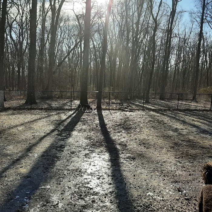 Madison Dog Park Picture 10