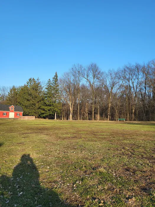 Madison Dog Park Picture 5