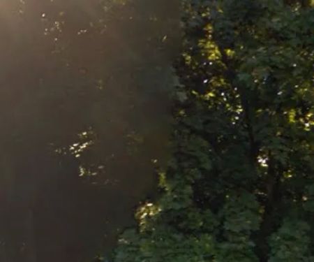 Central Green Park