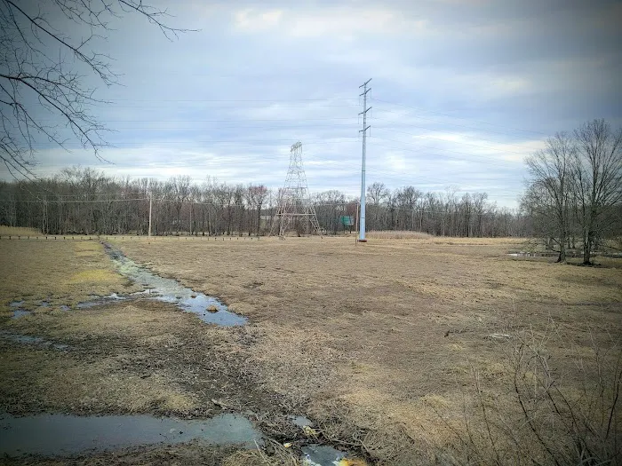 Central Valley Wetlands Picture 3