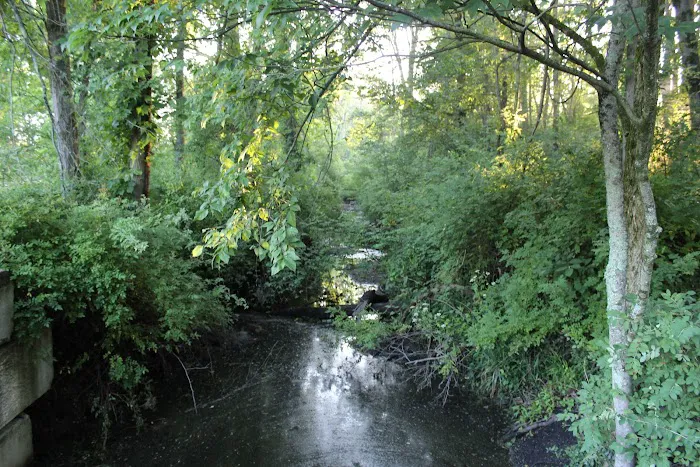 Brookside Grove Picture 1
