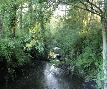 Brookside Grove