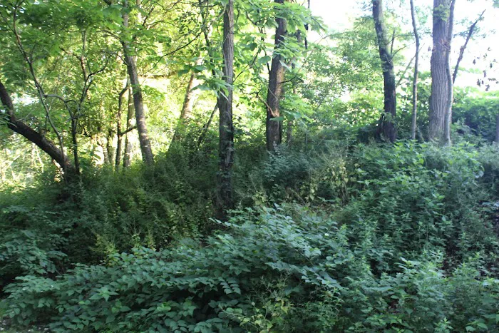 Brookside Grove Picture 2