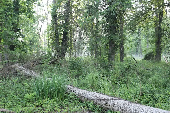 Brookside Grove Picture 8