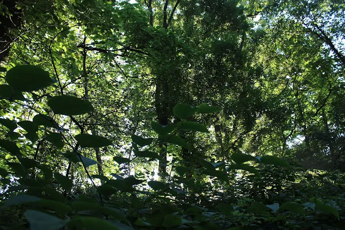 Brookside Grove Picture 5