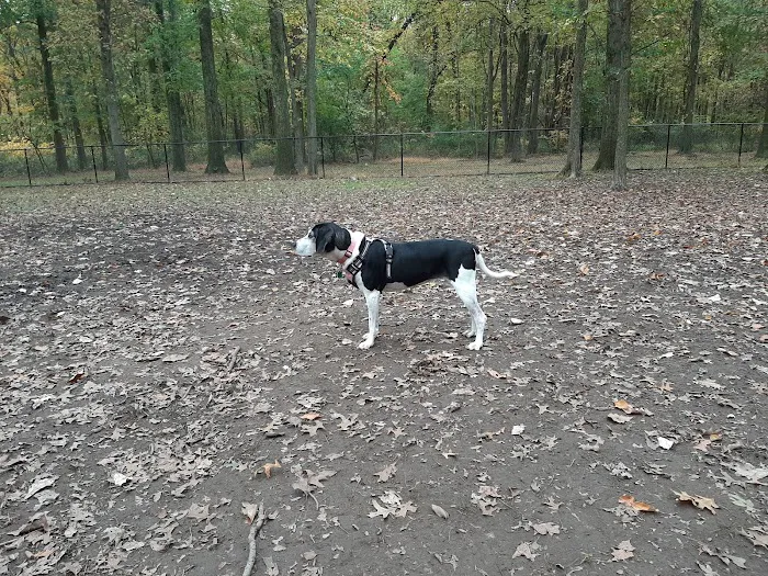 Memorial Park Picture 3