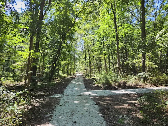 Memorial Park Picture 2