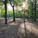 Memorial Park