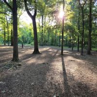 Memorial Park ico
