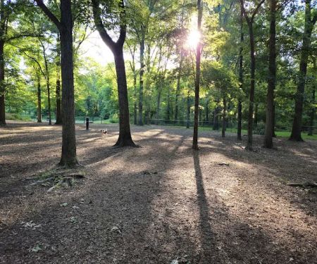 Memorial Park