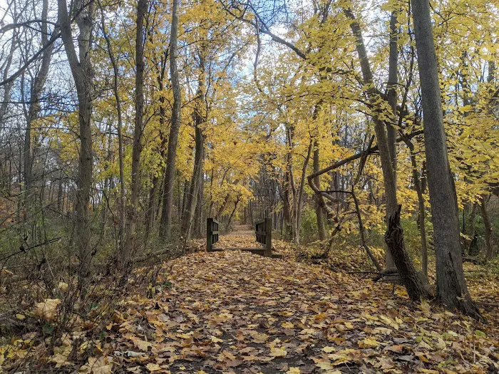Memorial Park Picture 4
